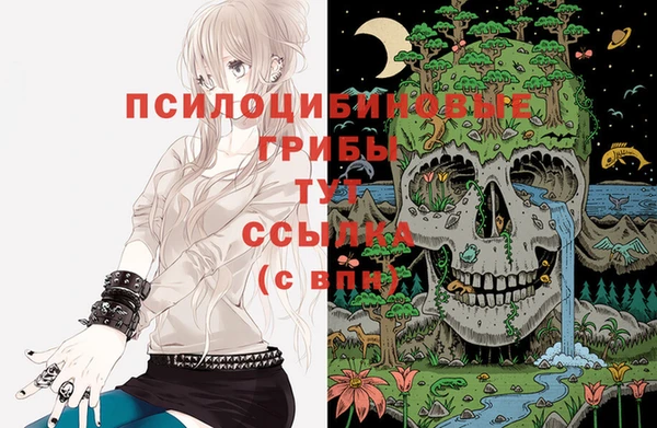 твердый Балахна
