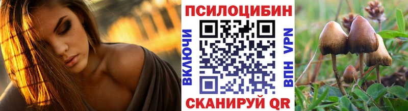 Галлюциногенные грибы прущие грибы даркнет какой сайт Удачный мега зеркало